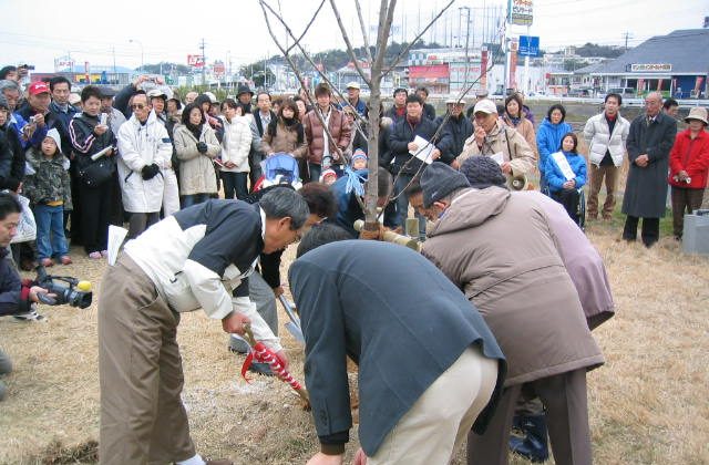 伊川千本桜の会