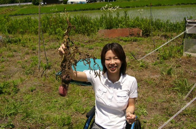 盛りだくさんの週末