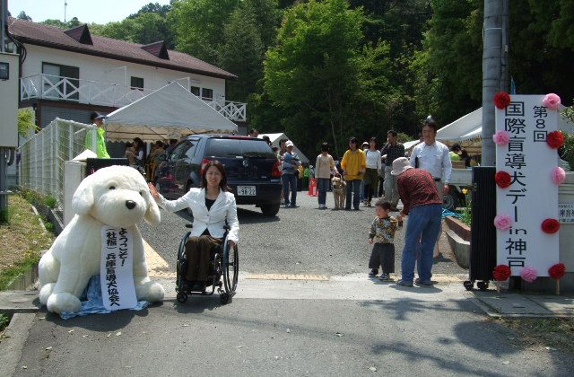 5月の活動